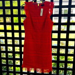 JCrew dress size 6 new w/ tag